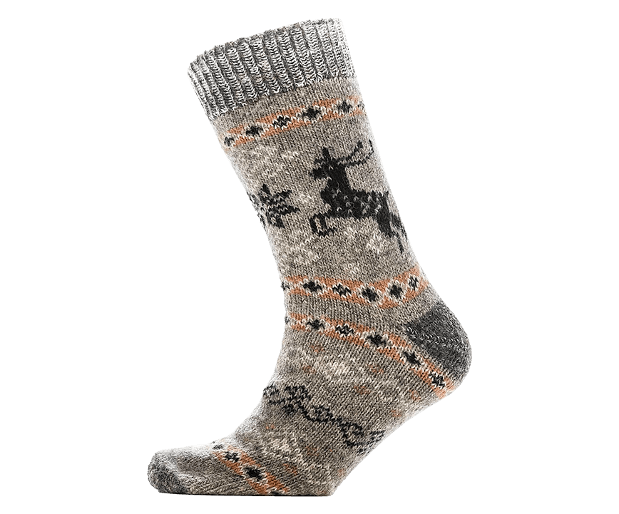 paypoq mayka savdo tashkent narxi